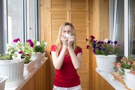 Allergy-Triggers 7 Ways to Keep Your Home Free From Allergies
