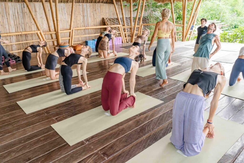 Iyengar Yoga Teacher Training Course in Rishikesh India